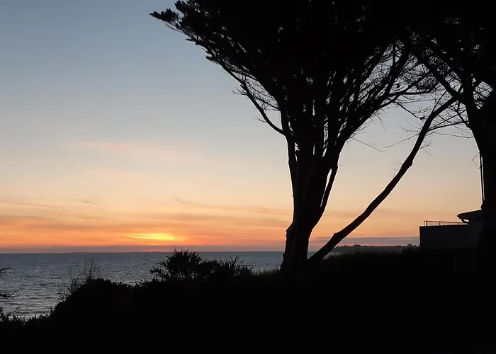 Les De Veronique, Chez Veronique Olive