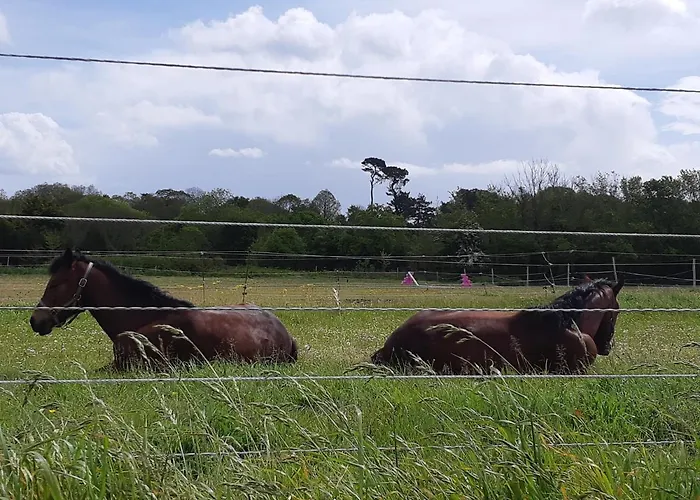 Les De Veronique, Chez Veronique Olive Alojamento de Acomodação e Pequeno-almoço